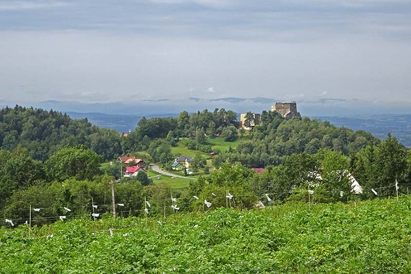   Zamek w krajobrazie, fot. Redakcja